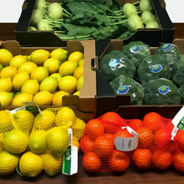 productos bio exafru ok 2 neutro 1280x873